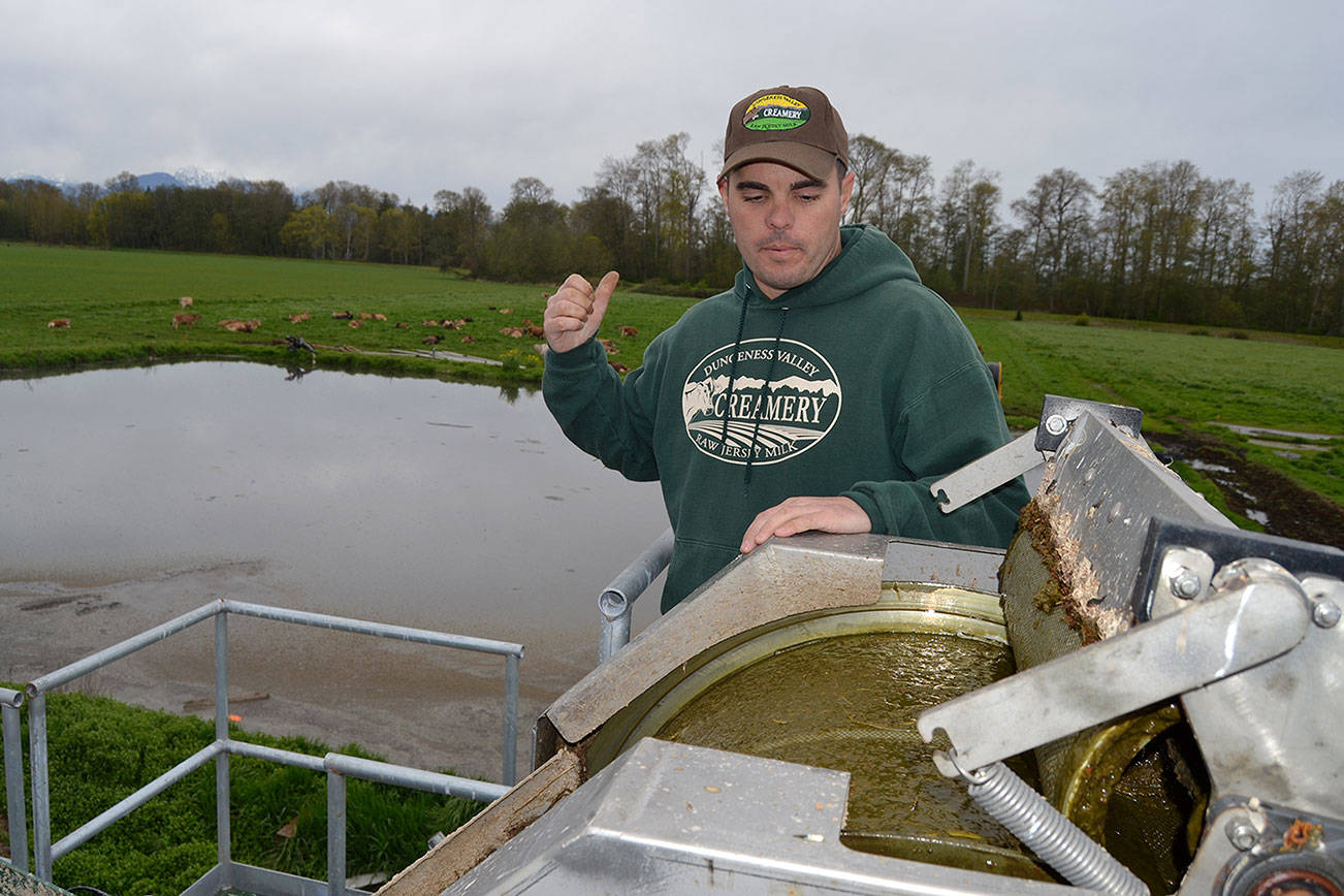 Dungeness Valley Creamery installs new cleaning system, sees production rise