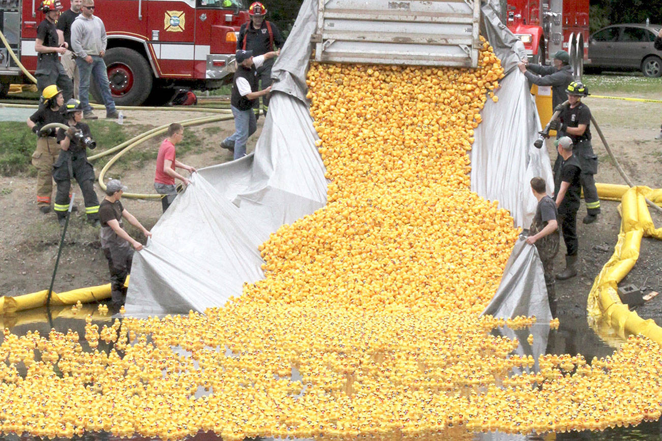 Duck luck: Fifty prizes awarded after Port Angeles rubber duck race