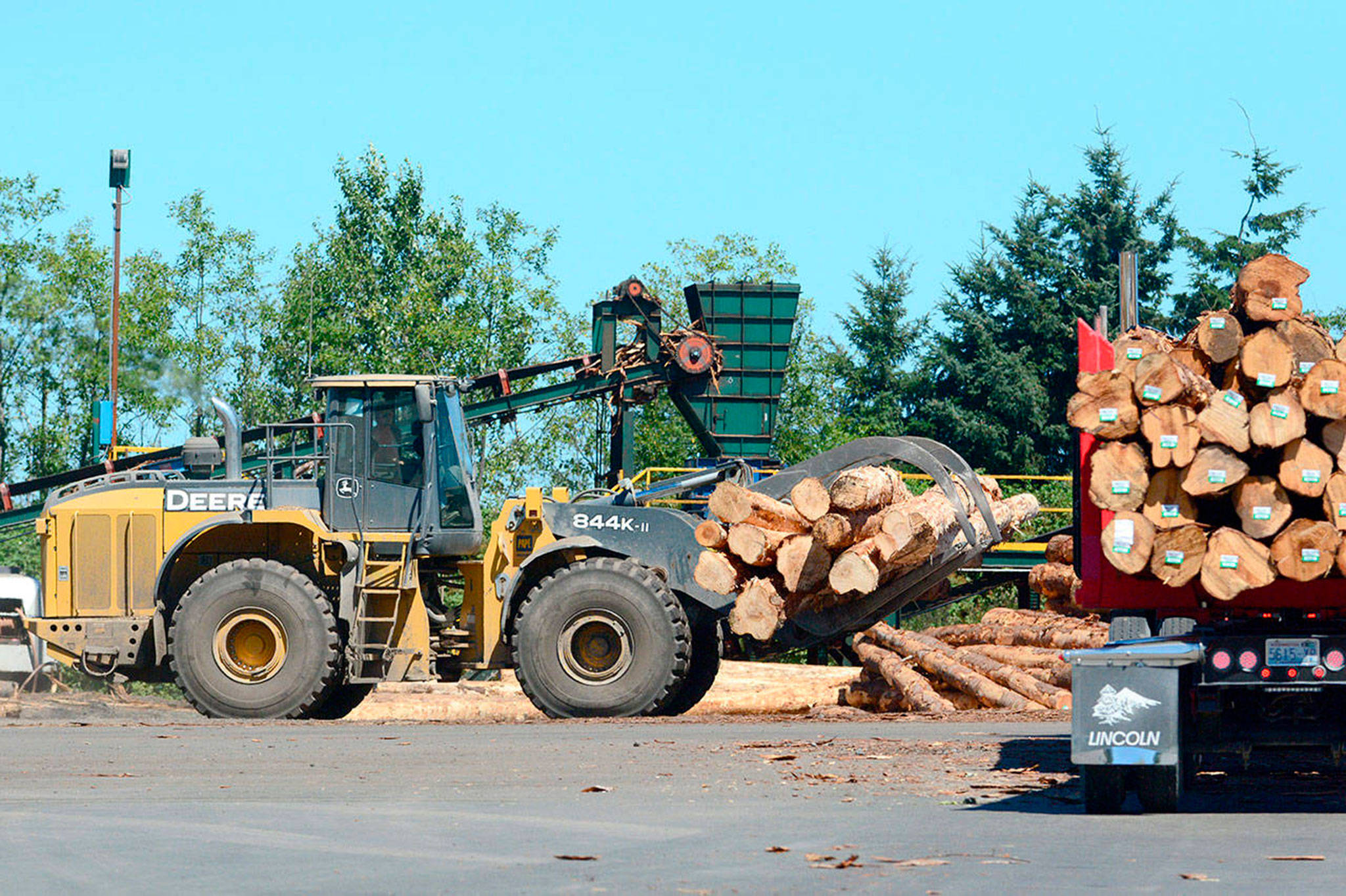 Sequim School District could receive about $250,000 from state forest revenue funds in the 2017-2018 school year after the Office of the Superintendent of Public Instruction adopted a rule change that will no longer take revenue funds out of state apportionment. Photo by Jesse Major/Olympic Peninsula News Group