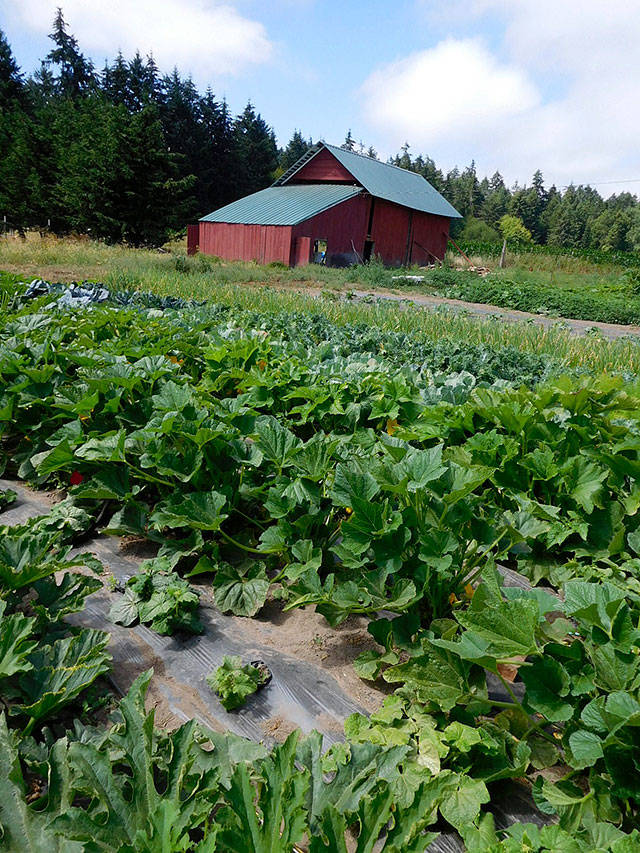 Farm to Food Pantry Program kicks off third year