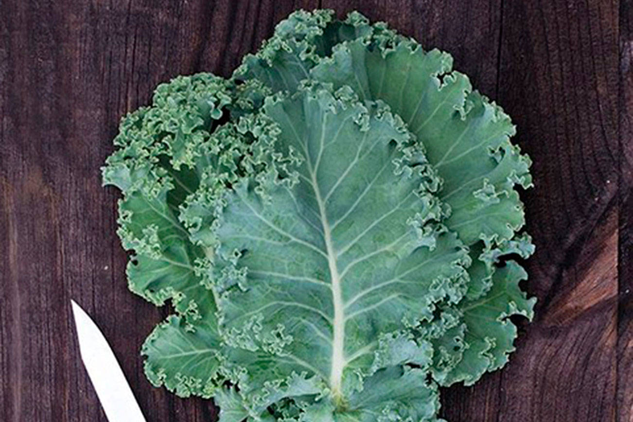 Farm to Table: Harvest the nutritional power of kale