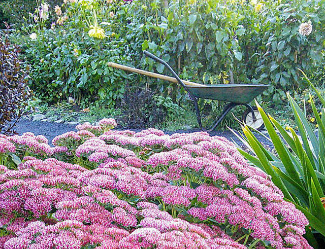 Final walk of season set at demonstration garden