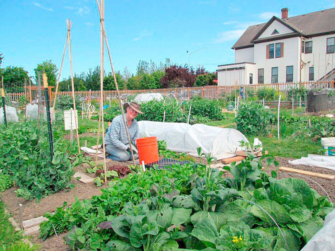 Registration now open for 2019 Master Gardener training