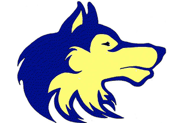 Girs basketball: Wolves fall in winter break road games