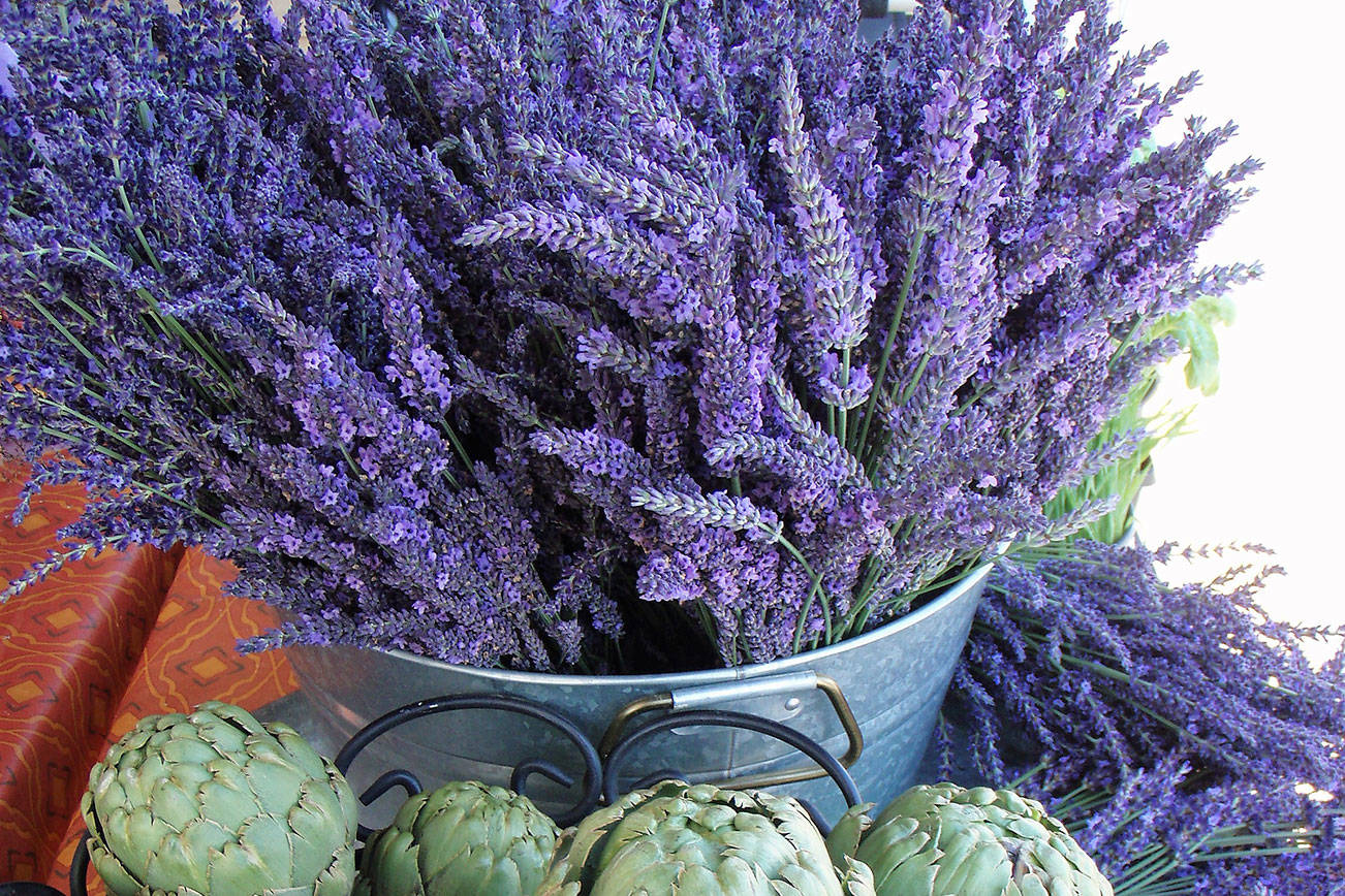 Sequim Farmers Market, the Lavender Weekend edition