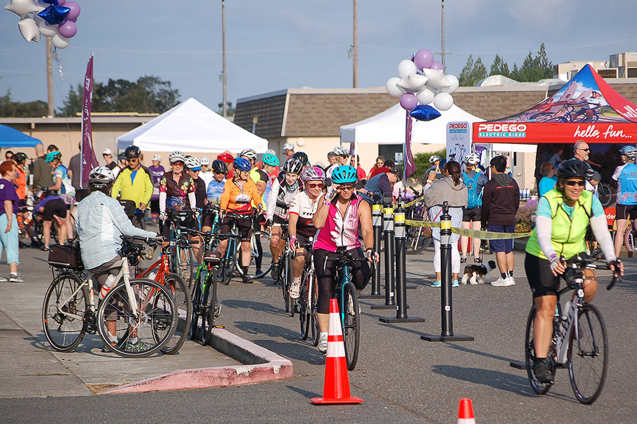 Tour de Lavender has biggest turnout yet Sequim Gazette