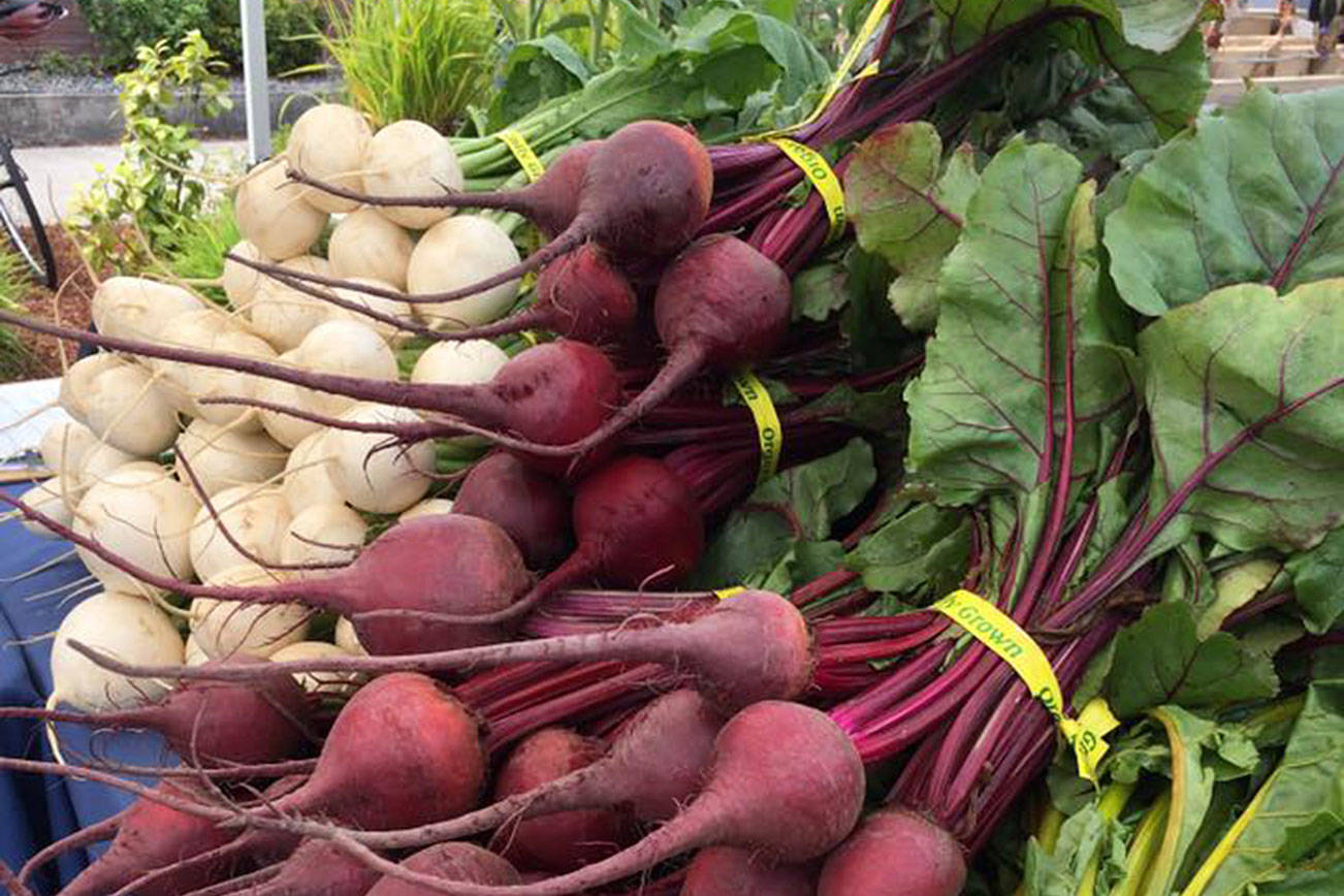 What’s New at the Market: Bountiful colors and tastes