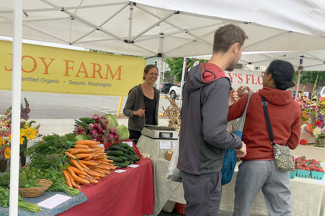 What’s New at the Market: Kids Day and the 19th Amendment celebration