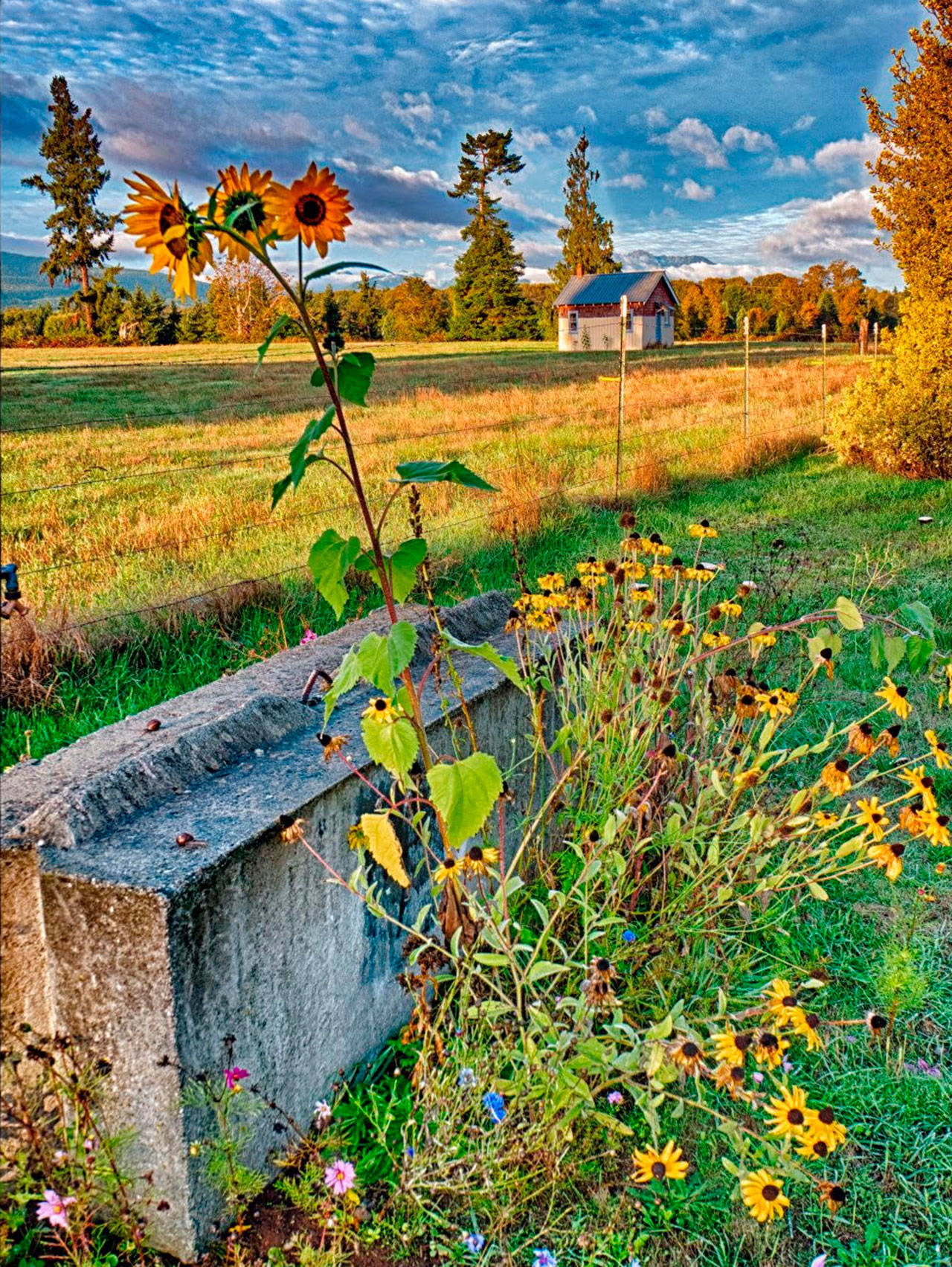 Contributor Bob Lampert captures a last glimmer of spring in the early hours of Sept. 23, near the Priest Road/West Hendrickson Road intersection.