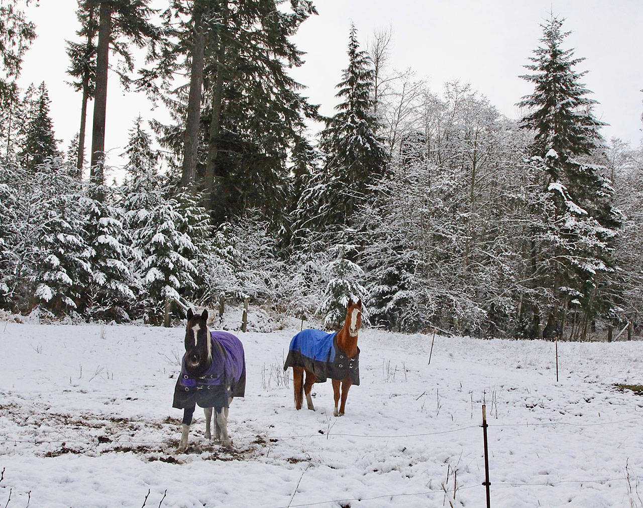 Clallam officials prepare for snow