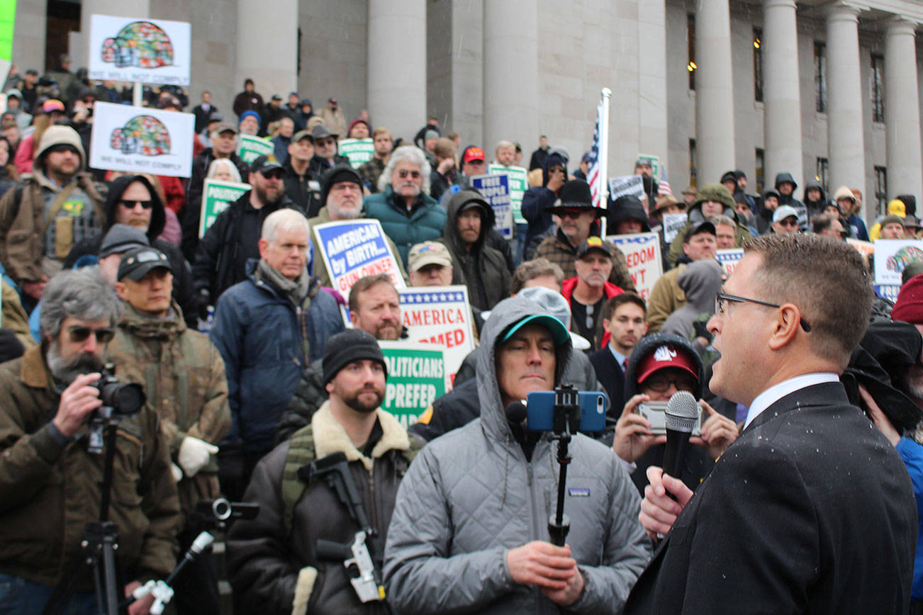 Gun rights advocates rally at Capitol