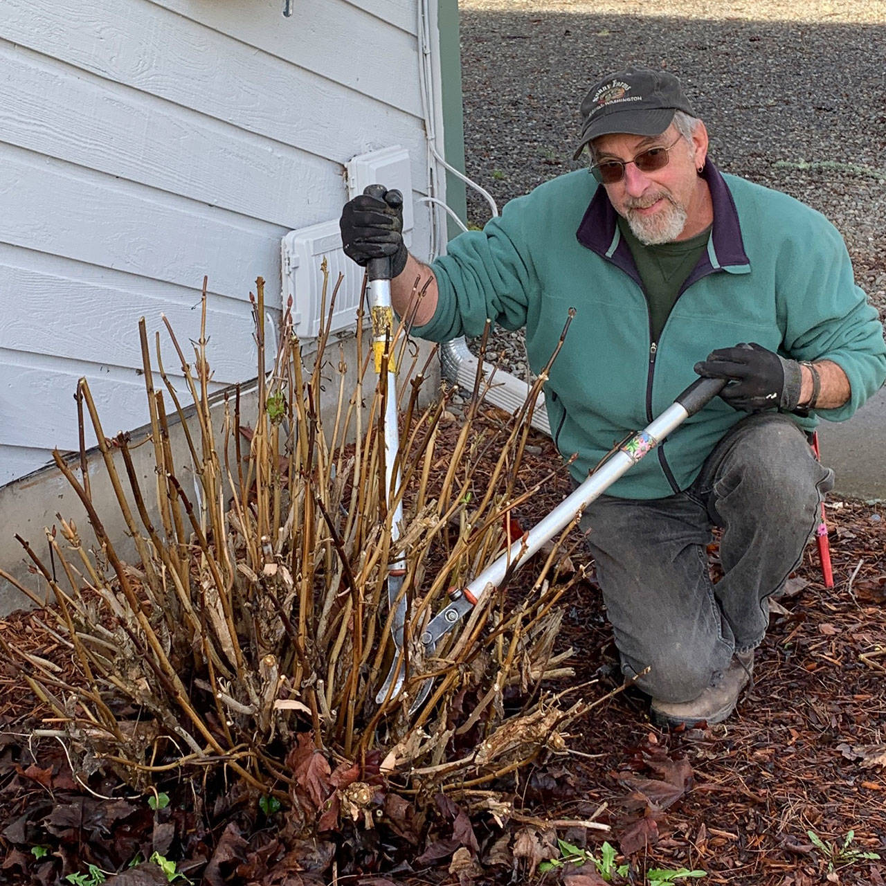 Learn all about pruning ornamentals at Green Thumbs lecture