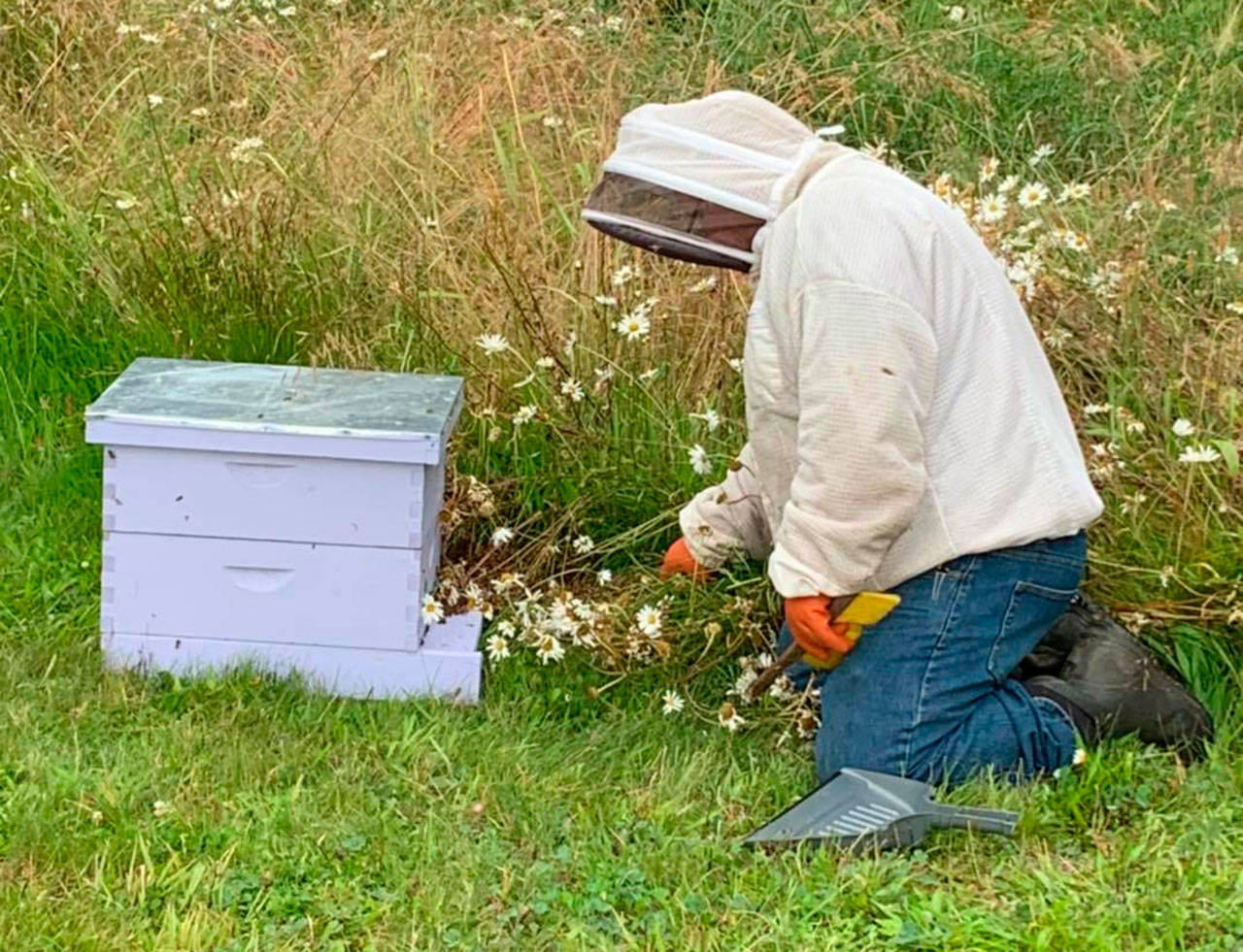 Megan DePew, co-owner of Sequim Bee Farm, will discuss honey bee keeping on Aug. 27 via Zoom. A link to her presentation is available on the WSU Clallam County Extension website (extension.wsu.edu/clallam). Submitted photo