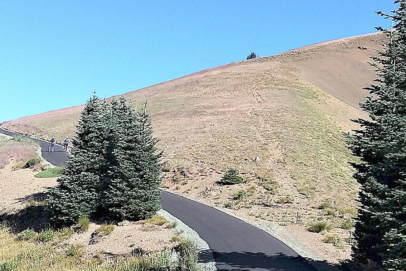 Hurricane Hill hike now open