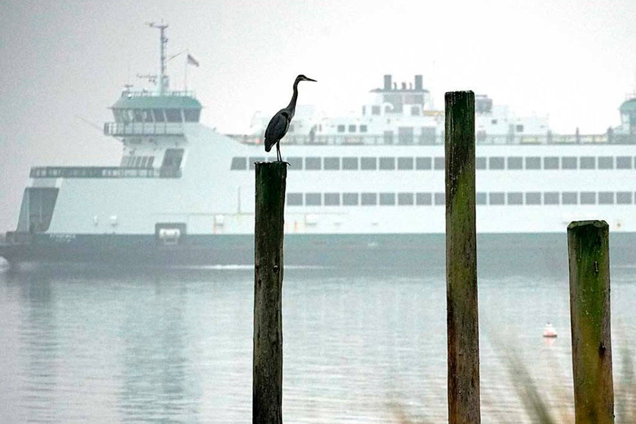 A heron stands atop a piling just off downtown Port Townsend as the MV Kennewick sails through Port Townsend Bay in low visibility due to thick smoke from wildfires burning throughout the West Coast. A weather system that was expected to clear much of the smoke from the region Monday turned out to be weaker than initially expected, meaning the unhealthy weekend haze will linger well into this week. Photo by Nicholas Johnson/Olympic Peninsula News Group