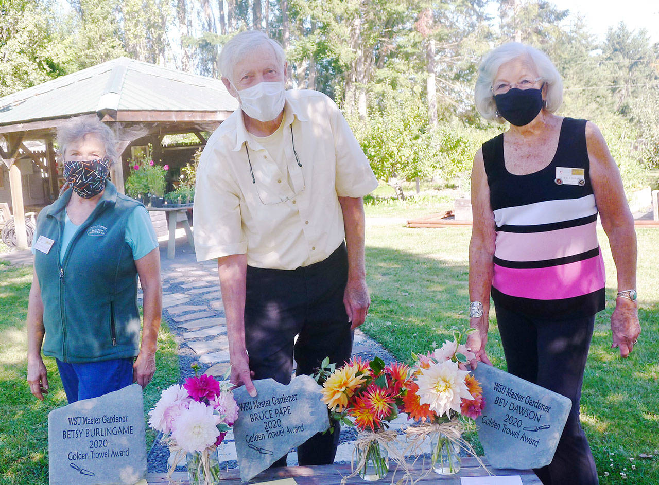 Master Gardeners (from left) Betsy Berlingame, Bruce Pape and Beverly Dawson receive their lifetime achievement Golden Trowel Award on Sept. 9. Photo by Marilynn Elliott