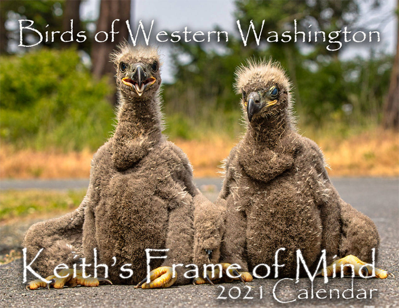 Keith Ross offers three calendars for 2021 including “Birds of Western Washington” at his website and at some local retailers in Sequim and Port Angeles. Photo courtesy of Keith Ross/Keith’s Frame of Mind