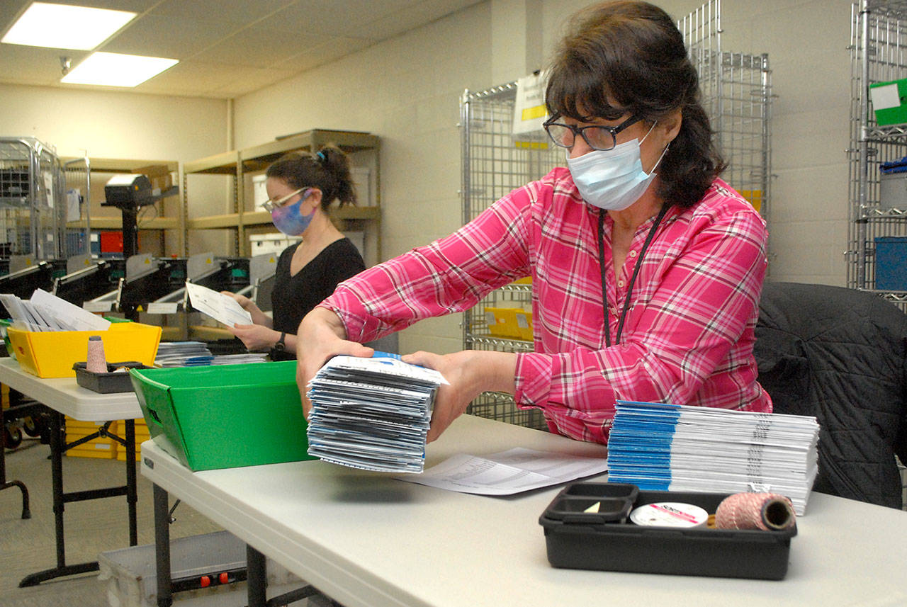 Clallam County election officials Nancy Buckner of Sequim, front, and Nicole Mischke of Port Angeles sort through special election ballots on Feb. 9 at the county courthouse in Port Angeles. Sequim-area voters approved two Sequim School District levies last week. Photo by Keith Thorpe/Olympic Peninsula News Group