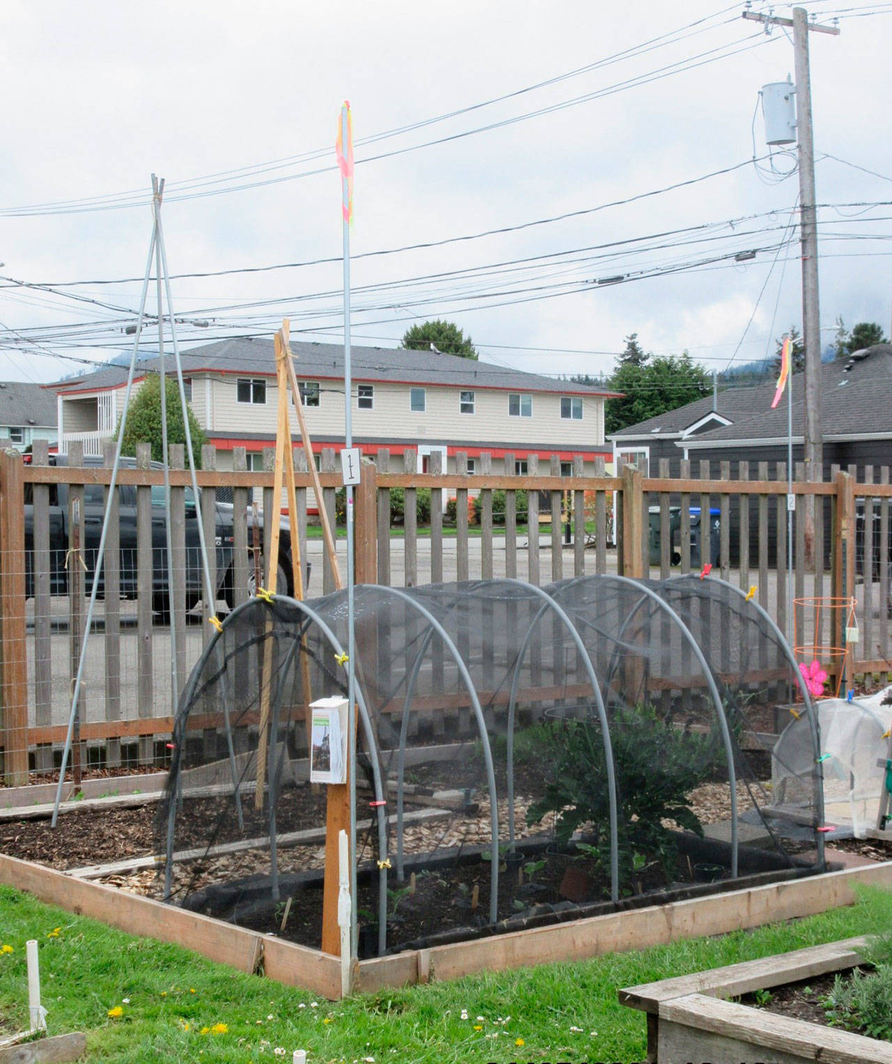 Pick up a self-guided tour brochure in the Master Gardeners’ plot in the southeast corner of the Port Angeles Community Garden, 328 E. Fifth St. Submitted photo