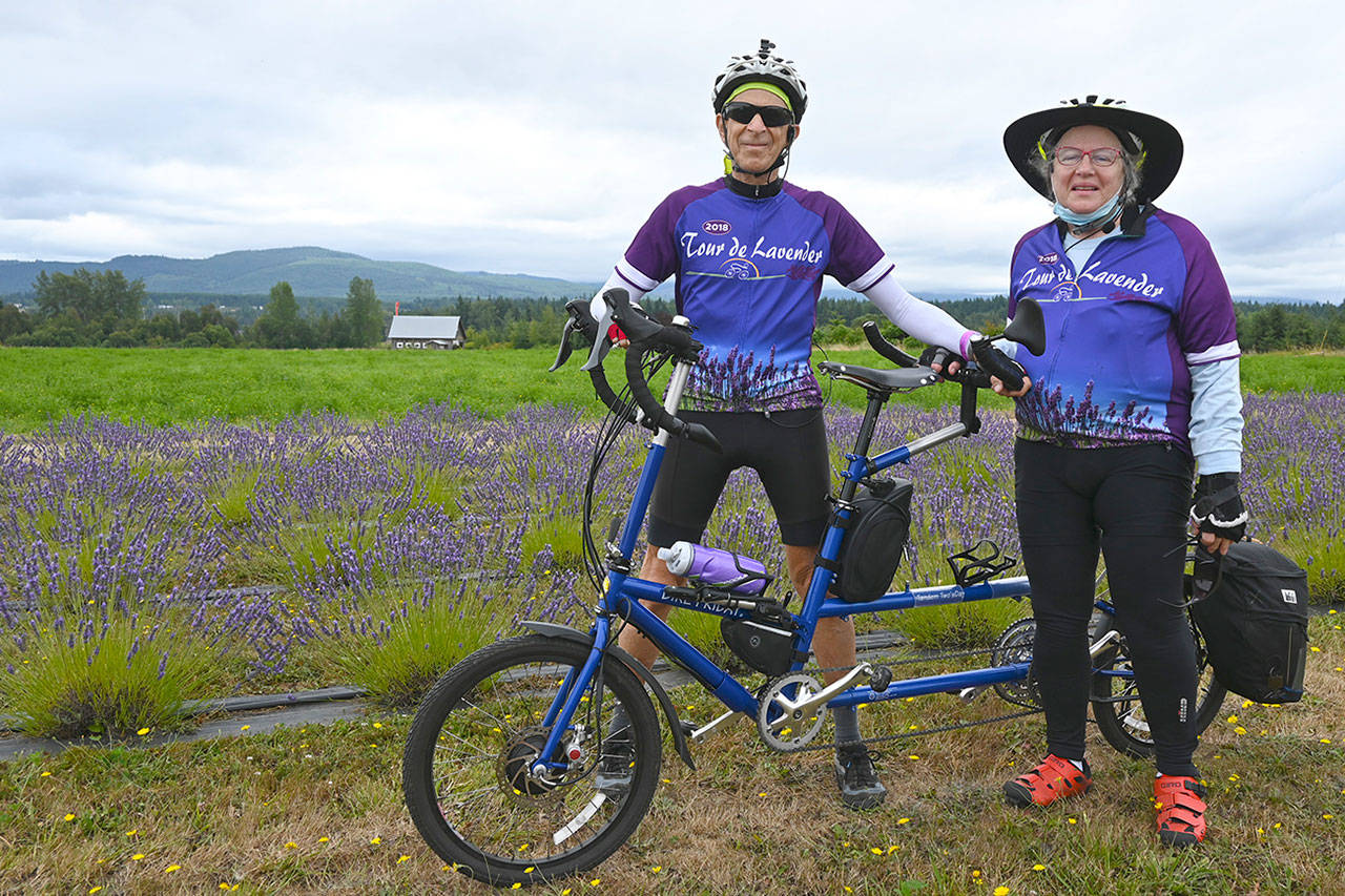 Tour de Lavender returns with a sellout Sequim Gazette