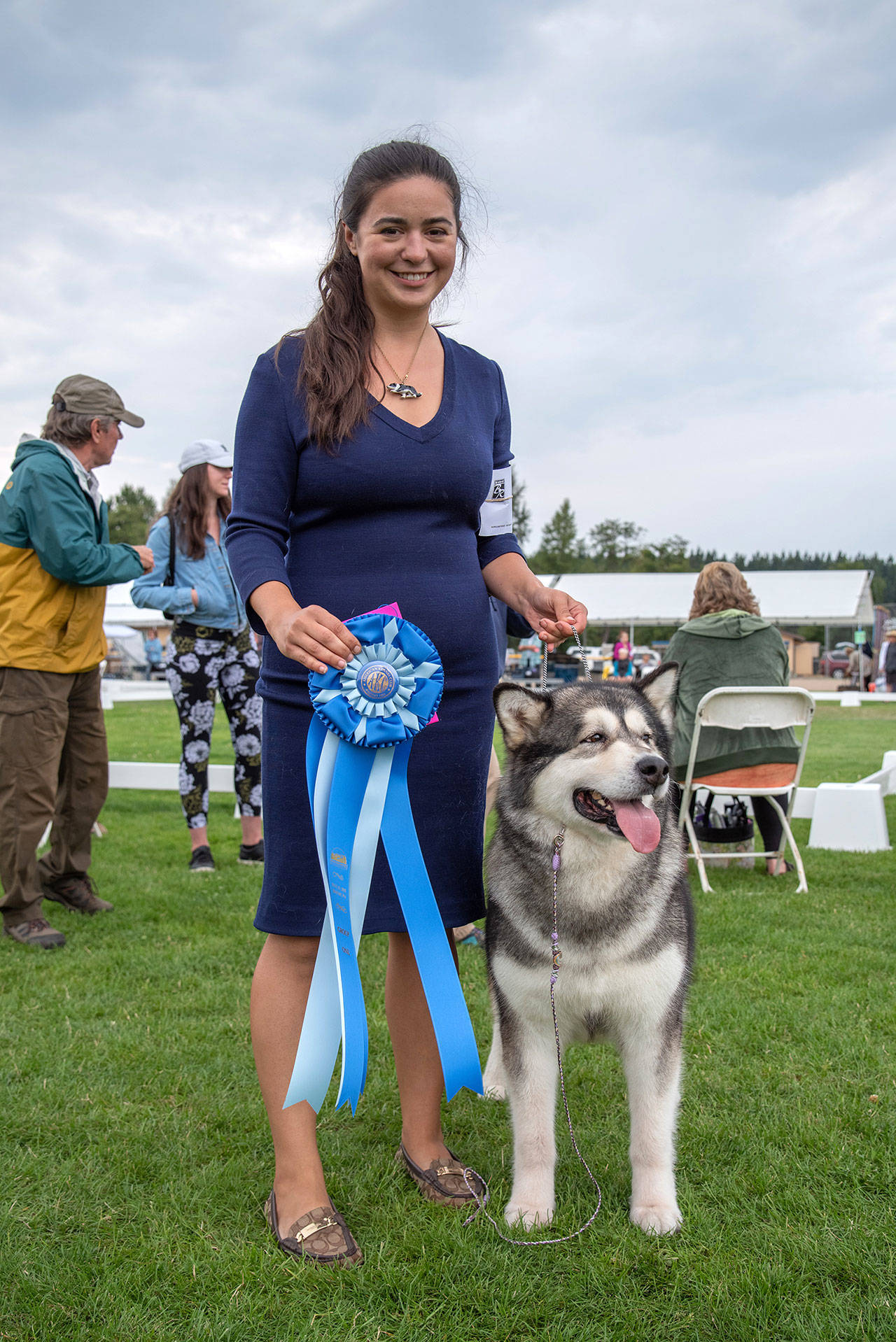 Julie Despot’s dog Dolly won the blue ribbon in the working dog group on day two of Hurricane Ridge Kennel Club’s “All Breeds Dog Show,” July 31 at Carrie Blake Community Park in Sequim. Each day dogs who win “best of breed” go on to compete with dogs categorized by the type of activity for which they are bred, called a group, of which their are seven. Dogs are judged by their appearance and poise. Dolly went on to compete in the “Best of Show” at the end of the day. Sequim Gazette photo by Emily Matthiessen