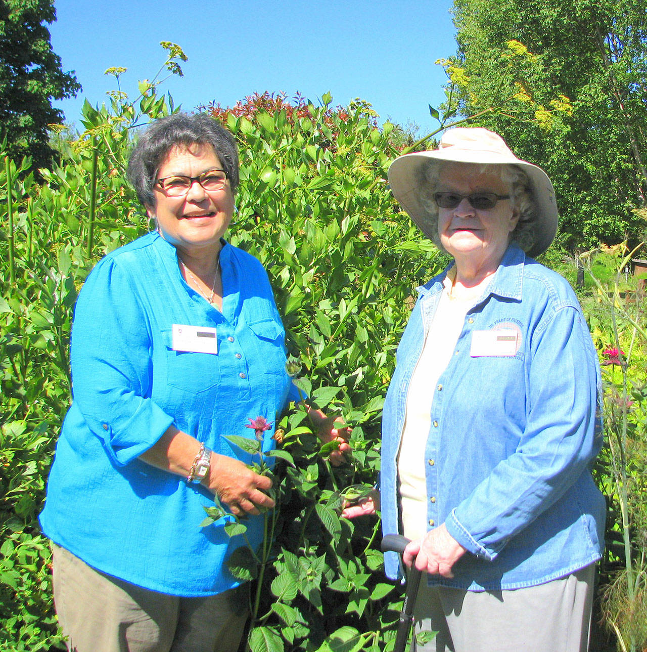 Clallam Master Gardeners To Celebrate 40th Anniversary This Week ...