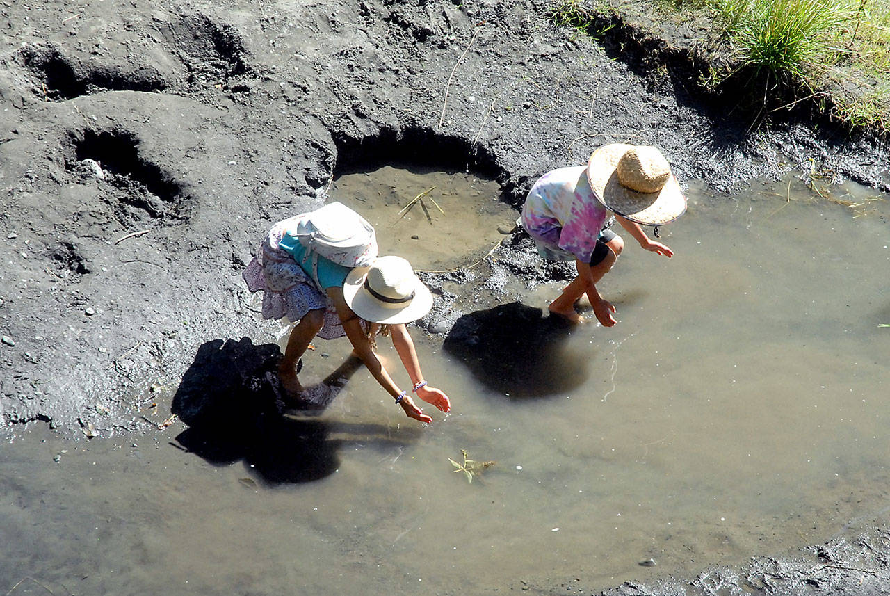 Siblings Sequoia Mitchell, 9, and Coco Mitchell, 6, both of Sequim, attempt to catch tadpoles in a side channel of the Dungeness River at Railroad Bridge Park in Sequim on 
Aug. 8. Photo by Keith Thorpe/Olympic Peninsula News Group