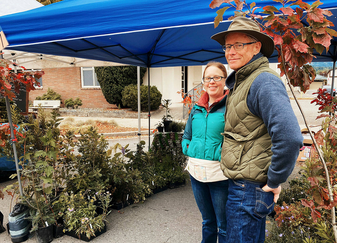 David Allen and business partner Christina offer a variety of native plants at their Shore Road Nursery booth at the Sequim Farmers & Artisans Market. Photo by Emma Jane Garcia