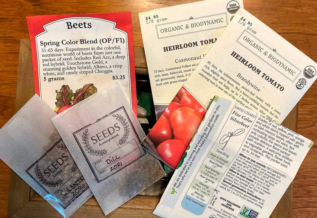 Get It Growing: T’is the season for buying seeds | Sequim Gazette