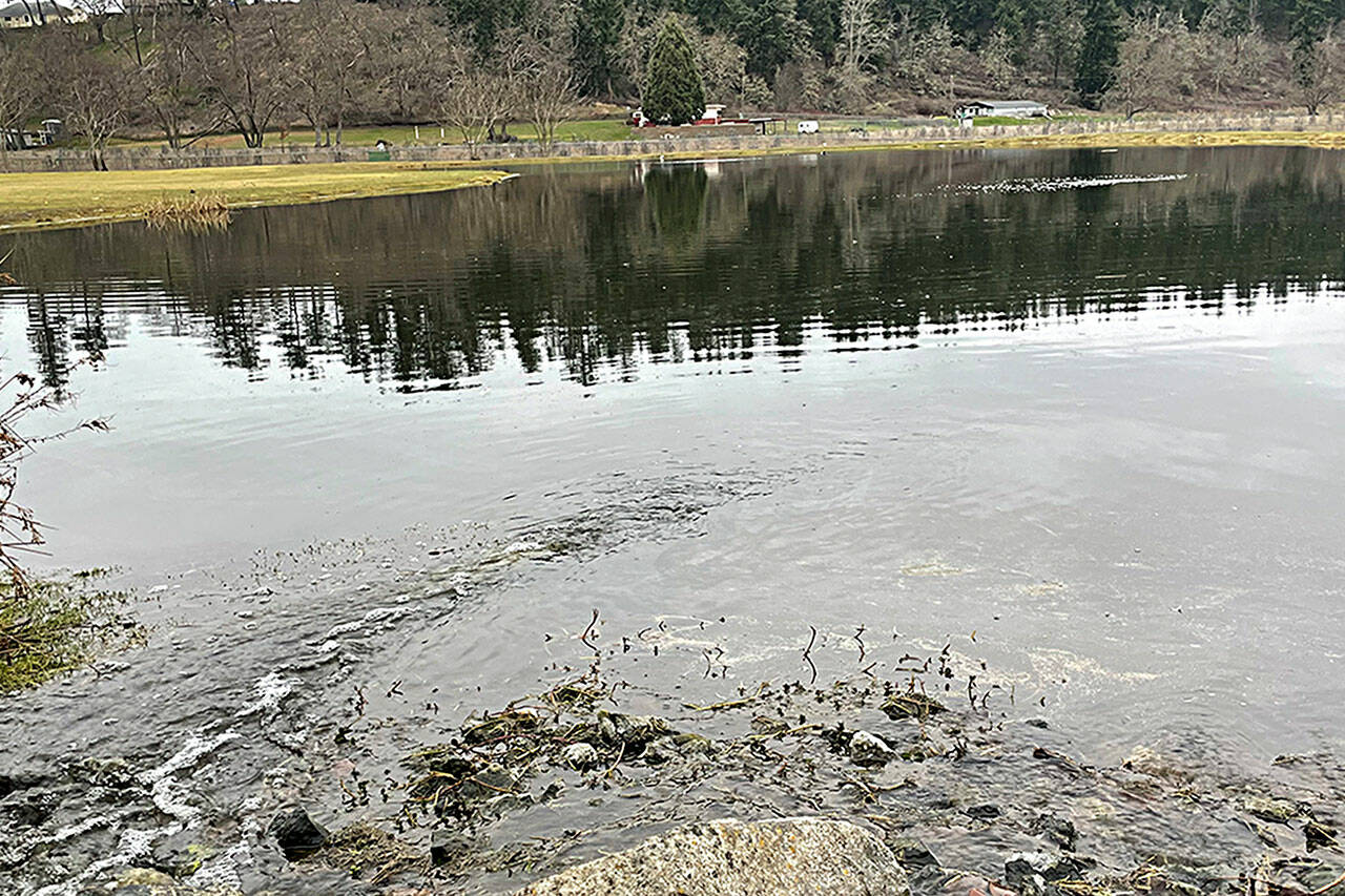 Sequim Gazette photo by Matthew Nash
More rainbow trout will be stocked in the Water Reuse Demonstration Site pond in Carrie Blake Community Park sometime in spring after water fowl leave the area, said club members of the Puget Sound Anglers-North Olympic Peninsula Chapter.