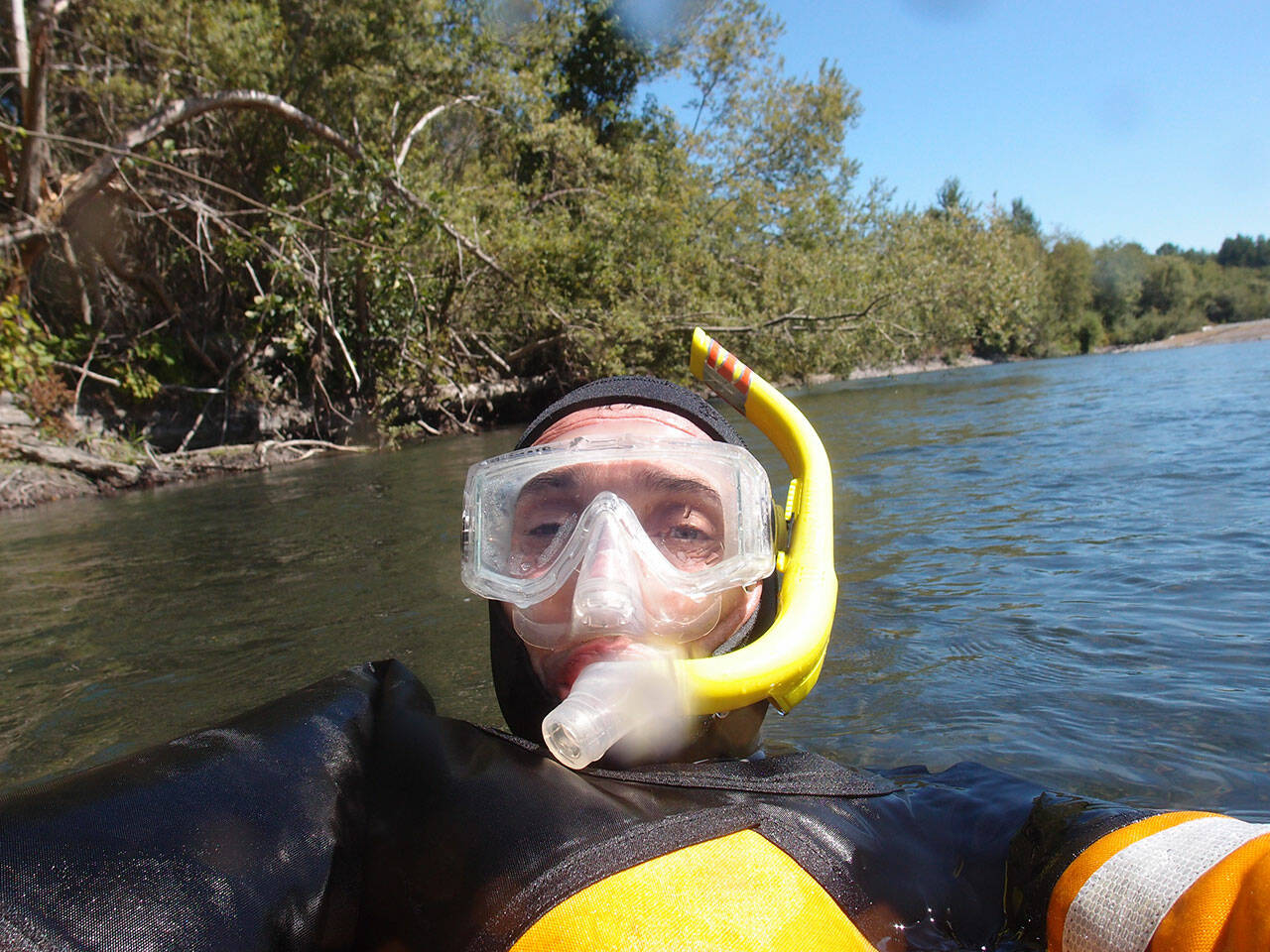 Submitted photo
Mike McHenry, fish habitat manager for the Lower Elwha Klallam Tribe, presents “The Elwha River: Eight Years of Research Since the Largest Dam Removal in the World” at 12:30 p.m. Thursday, Feb. 3, on Zoom.