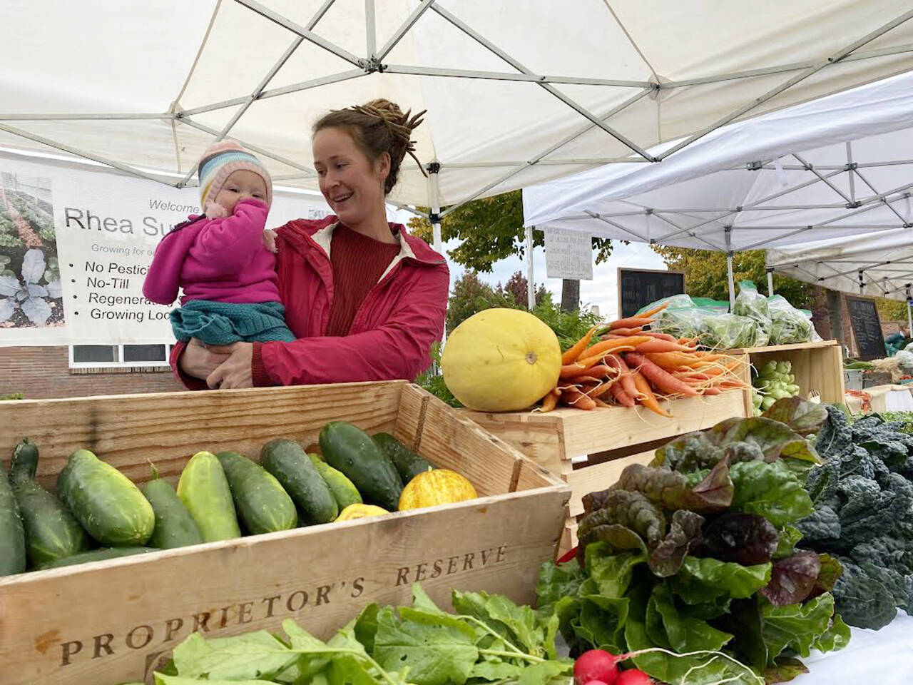 History of Farmers Markets: When and Why They Became Popular