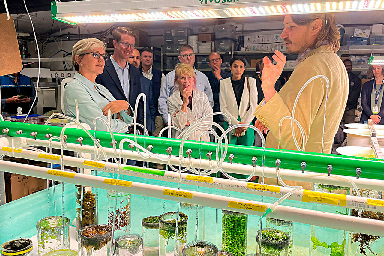 Sequim Gazette photo by Matthew Nash
Scott Edmundson, a PNNL-Sequim research botanist, speaks at PNNL-Sequim’s seawater propagation station with Jennifer Granholm, U.S. Secretary of Energy, U.S. representative Derek Kilmer, Dr. Geri Richmond, DOE’s undersecretary for Science and Innovation, and others about PNNL-Sequim’s efforts to harness essential minerals from the ocean and plant life.