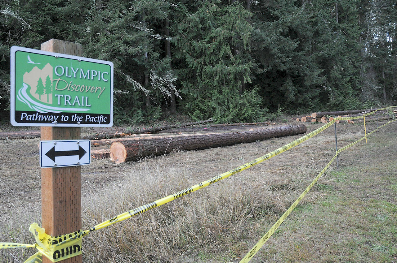 Photo by Keith Thorpe/Olympic Peninsula News Group / Blown-down trees that have been cut and removed from nearby forested areas of Robin Hill County Park await removal from a staging area next to the Olympic Discovery Trail within the park between Sequim and Port Angeles.