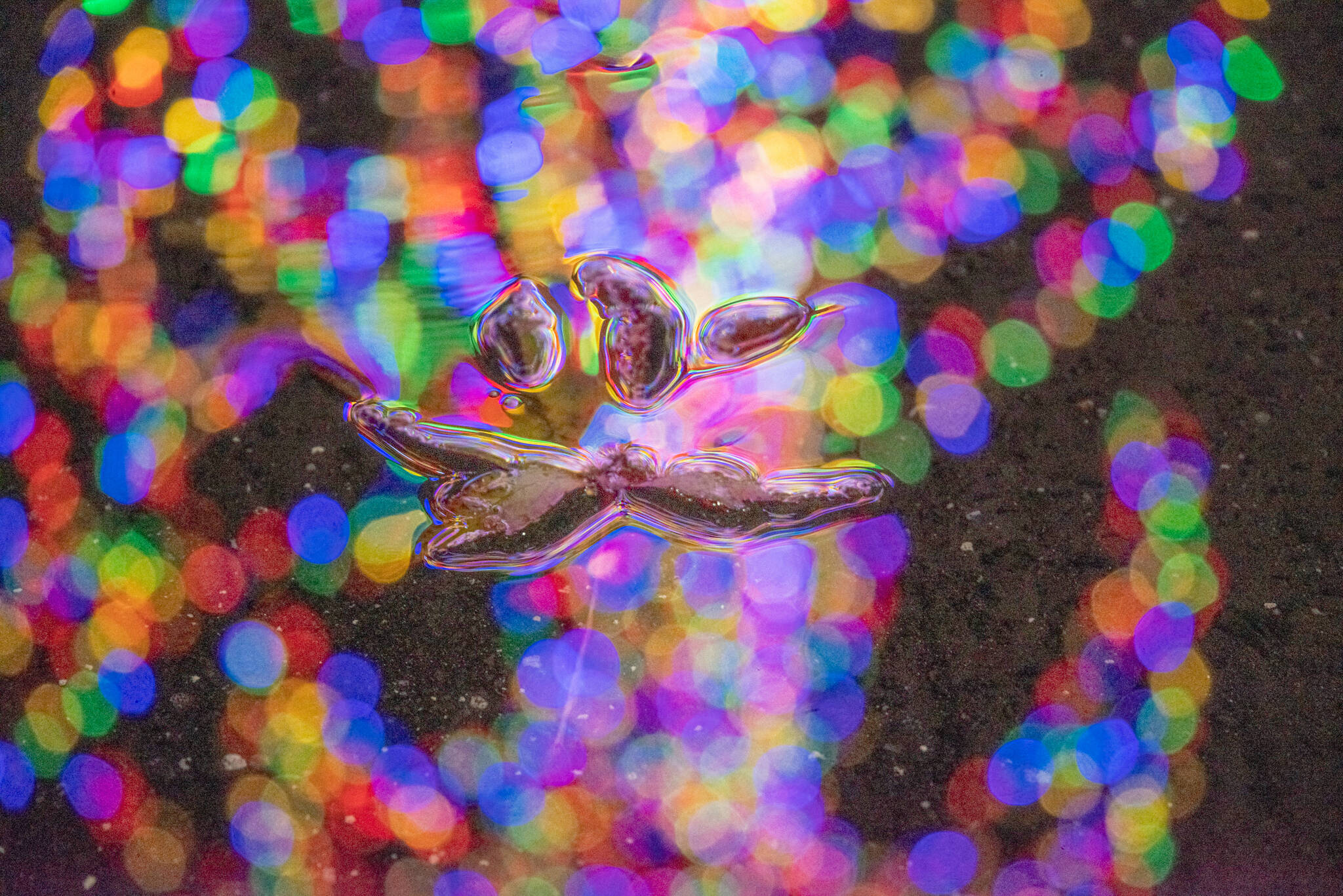 Sequim Gazette photo by Emily Matthiessen / A maple leaf in a puddle is illuminated and transformed by the holiday lights of Jamestown.