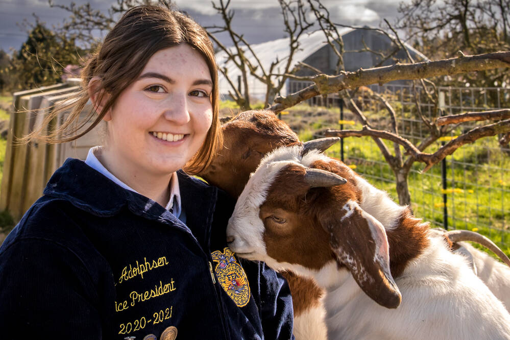 Milestone Shs Senior Adolphsen Earns State Ffa Honor Sequim Gazette