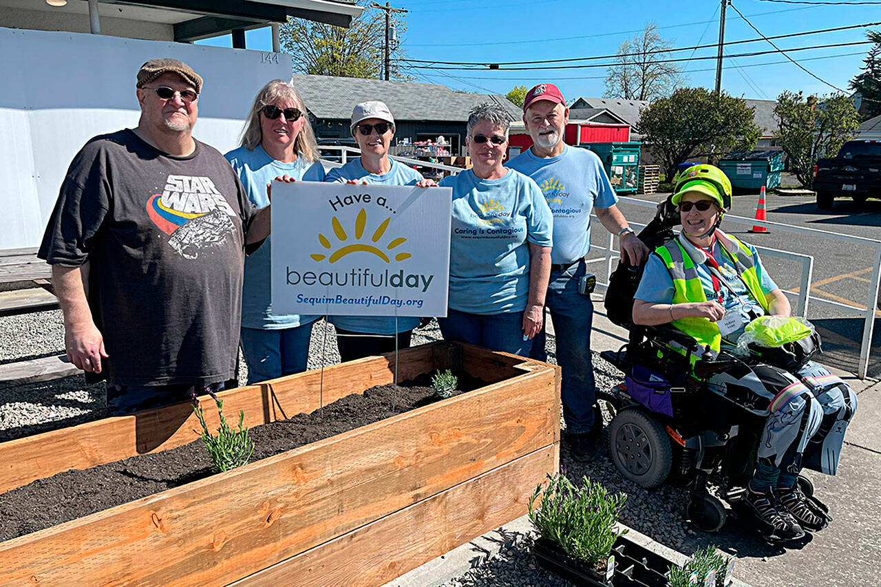 Sequim Gazette photos by Matthew Nash
At Sequim Food Bank, volunteers, from left, Kevin Wilson, Betty Gwaltyney, Corky Schadler, Melody Wilson, John Matson, and Melissa Vemi with Sequim Community Church, worked together to build two planters, fill them with dirt and plant lavender for Sequim Beautiful Day. Not pictured was Steve Gale.