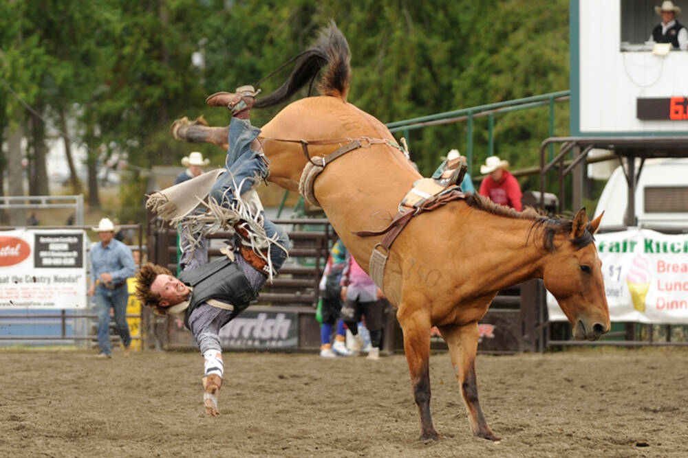 Clallam County OKs fenced beer garden during fair rodeo Sequim Gazette