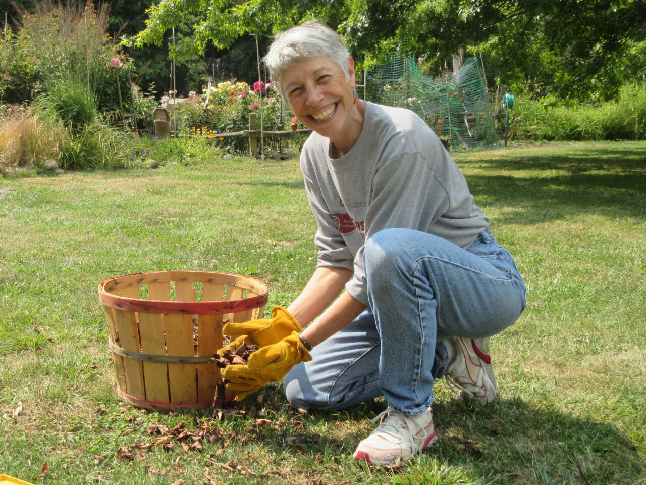 Photo by Audreen Williams/Clallam County Master Gardener / Summer is going fast, but a new burst of color is right around the corner! Join Clallam County Master Gardener Jeanette Stehr-Green and say hello to fabulous fall foliage at the Green Thumb Education Series presentation, “Farewell to Summer: Autumn Leaves,” set for noon-1 p.m. on Thursday, Sept. 14, at the Port Angeles Library.