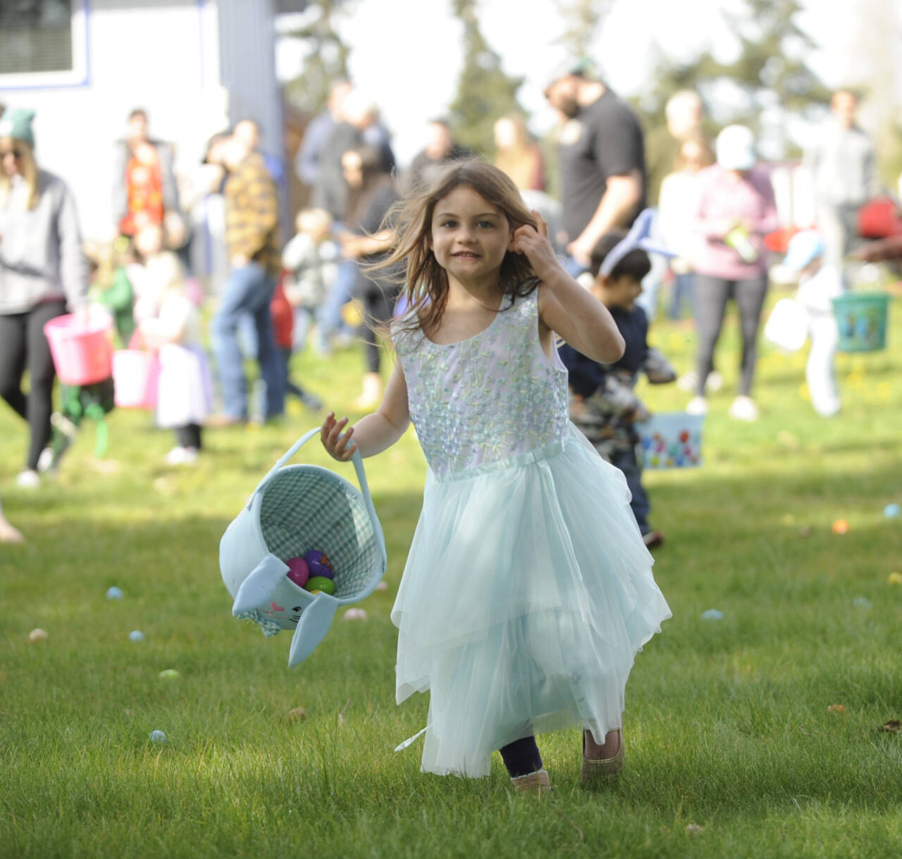 Sequim Gazette photo by Michael Dashiell / Ivory Lyckman, 5, of Sequim, joins dozens of youths in a grand search for eggs at the Sequim Elks Lodge Easter Egg Hunt on March 30.