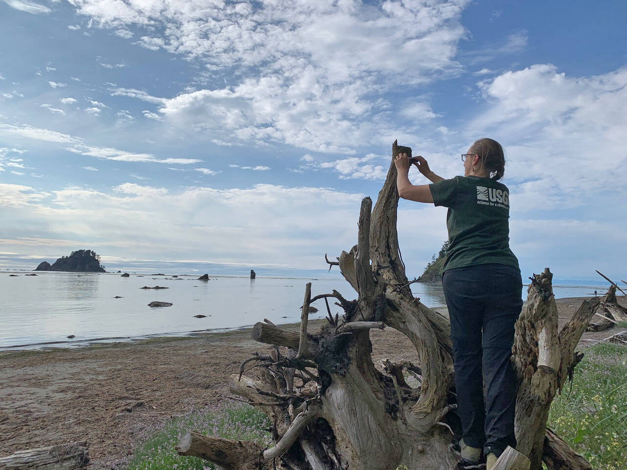 Photo courtesy of Rebecca McCaffery / Rebecca McCaffery installs a bat acoustic detector on the outer coast of Washington state. Acoustic detectors are specialized microphones that capture the high frequency calls of bat species at night. They can be used to study bat distribution and occupancy patterns.