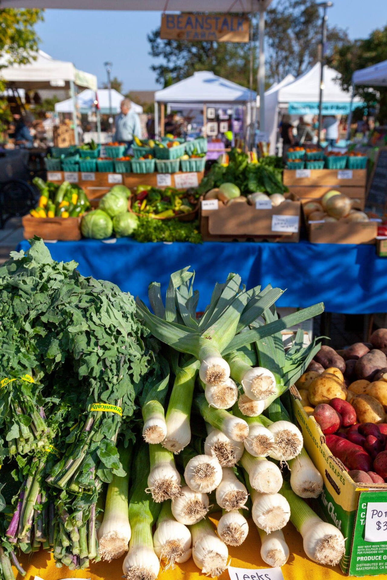 Photo by Amy Nash/NODC/WSU Clallam Extension / The Sequim Farmers & Artisans Market opens for the season on Saturday, May 4.