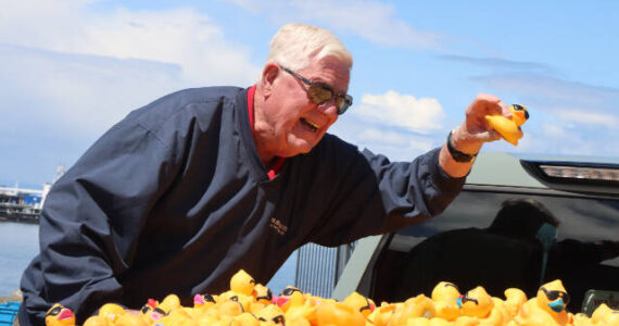 Gary Reidel, representing Wilder Toyota, plucks the winning duck from a truck. Wilder sponsored the winners prize of a 2024 Toyota Corolla. And the winner is Sarah Aten of Port Angeles. Her response was, “That’s amazing, that’s amazing.” There was 28,764 ducks sold this year as of race day. The all-time high was back in 2008 when over 36,000 were sold. (Dave Logan/For Peninsula Daily News)