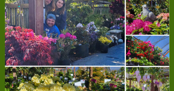 May’s arrival means you’ll find a whole bunch of new things in store at Sequim’s New Dungeness Nursery!