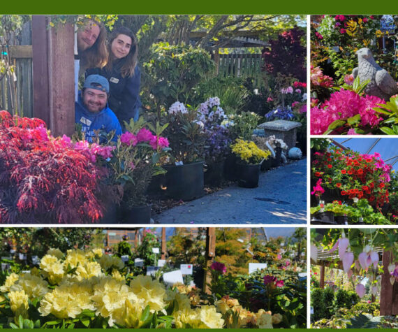 May’s arrival means you’ll find a whole bunch of new things in store at Sequim’s New Dungeness Nursery!