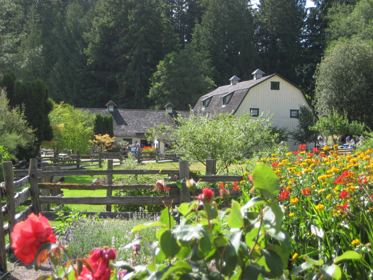 Photo courtesy of Concerts in the Barn
Enjoy chamber music and a picnic while enjoying the picaresque venue at this Quilcene farm at the Concerts at the Barn, held this year June 15-Aug. 4.