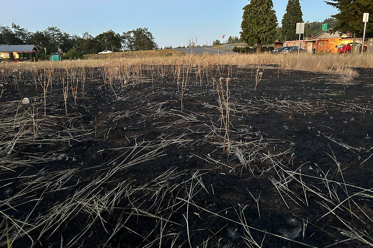 Sequim Gazette photo by Matthew Nash
Firefighters extinguished a fire on West Hemlock Street late on July 5 that bystanders said was started by someone throwing a firework from a vehicle into the field.