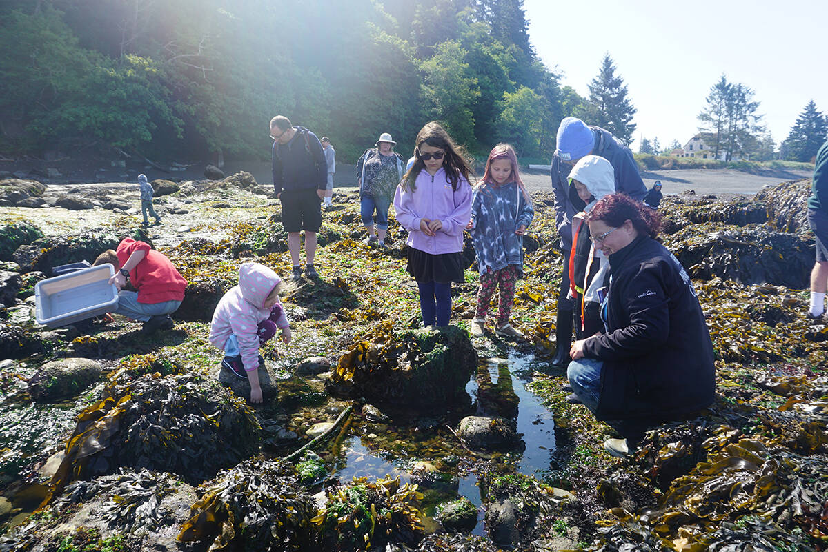 Photo courtesy of North Olympic Library System / Educators from Feiro Marine Life Center will offer a guided exploration of tidepools in Clallam Bay on July 23.