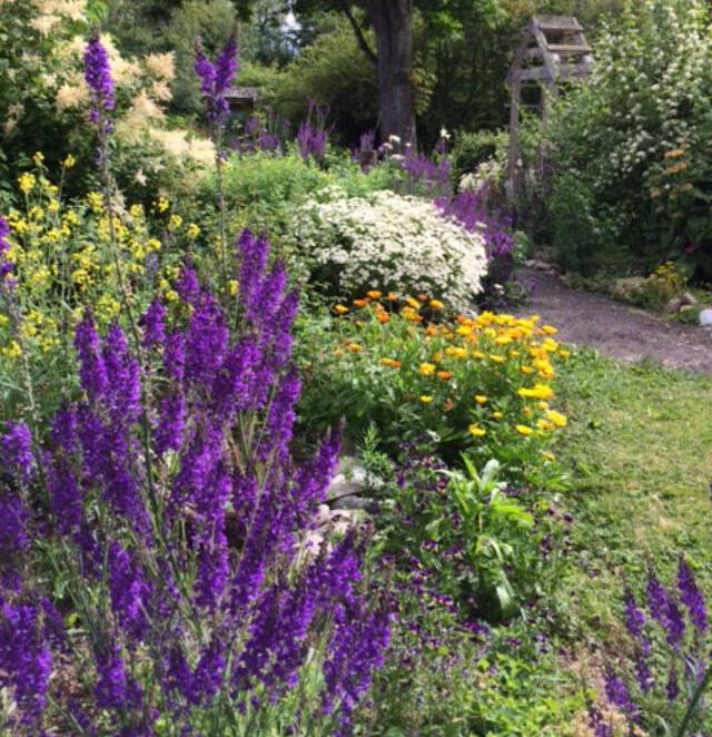 Photo by Cathy Wagner
Community members are welcome to enjoy a “Walk-About” at the Woodcock Demonstration Garden on Aug. 1.