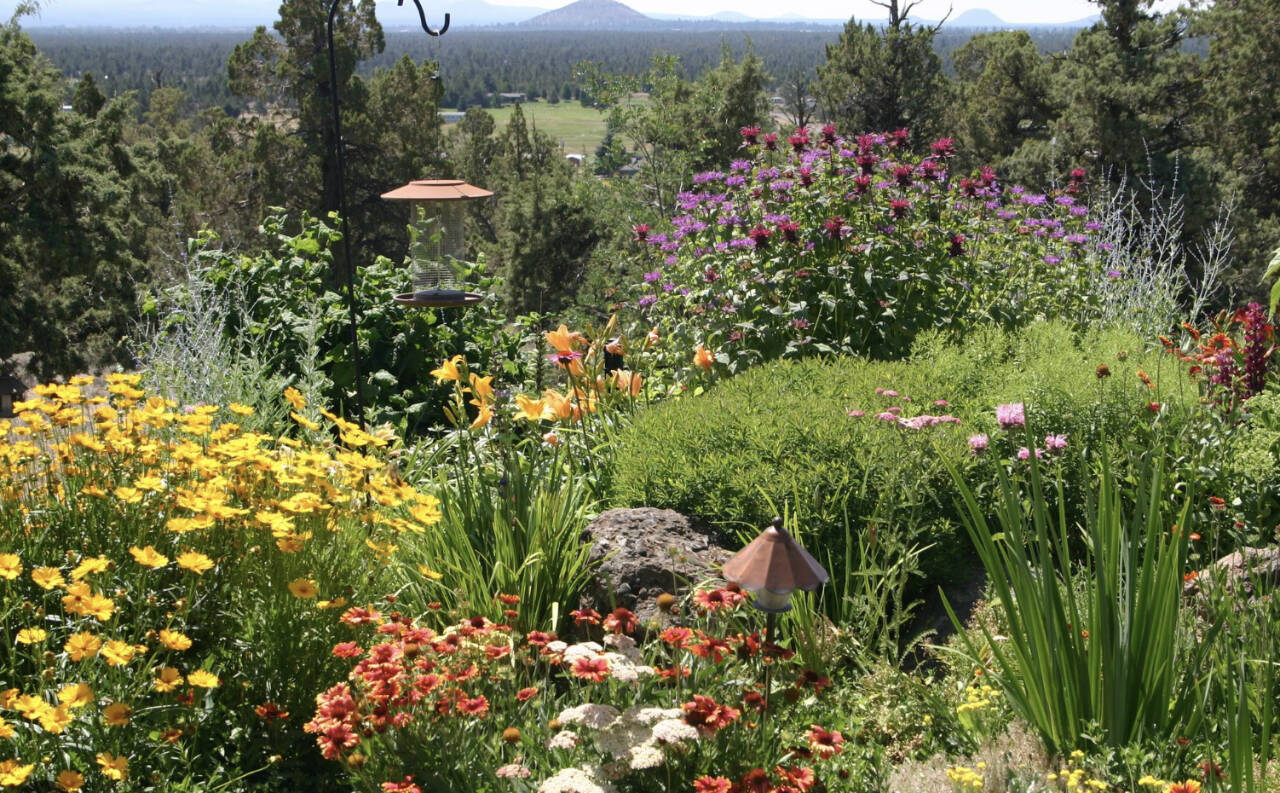 Photo courtesy of Oregon State University Extension
One’s garden is a rich source for creating eye-catching bouquets.